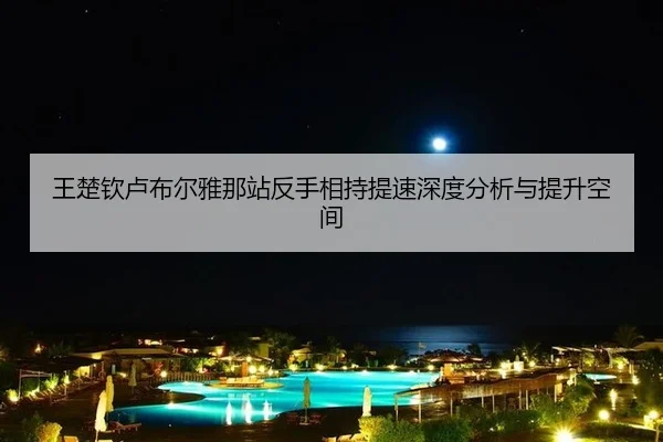 王楚钦卢布尔雅那站反手相持提速深度分析与提升空间